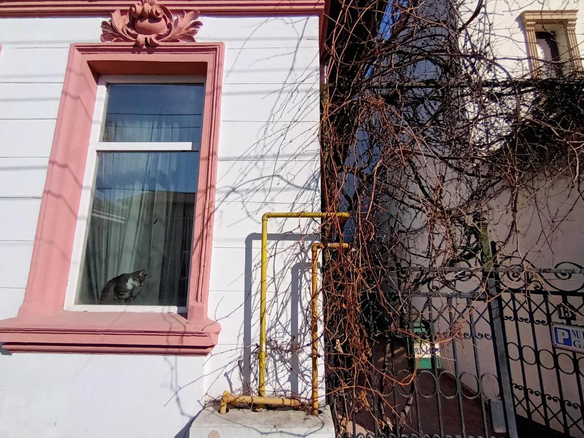 Appartement Casa Liveni à Bucarest Extérieur photo