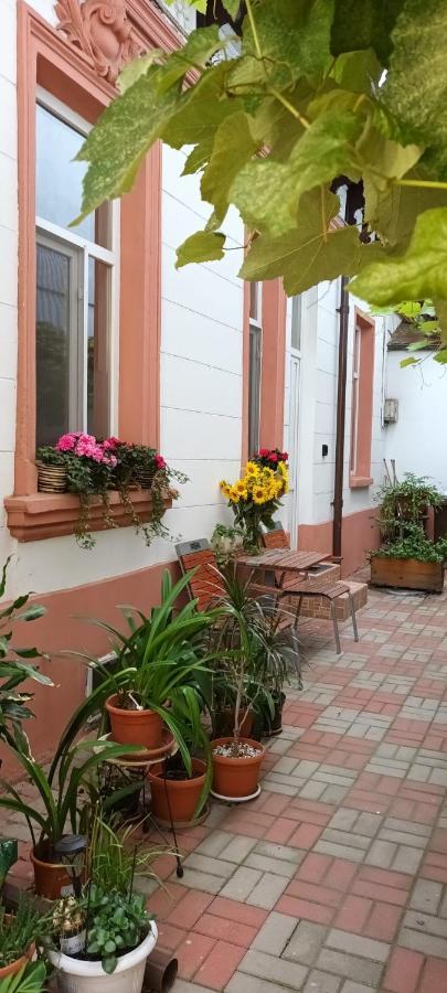Appartement Casa Liveni à Bucarest Extérieur photo